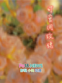 可食用玫瑰花苗怎么卖