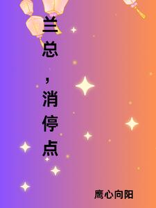 女流氓的电视剧完整版