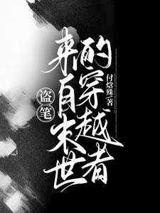 盗笔：来自末世的穿越者小说