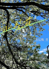 小梨花电脑壁纸