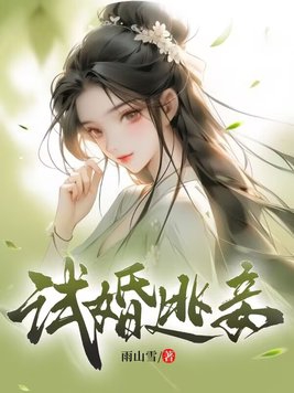 试婚总裁一宠到底小说