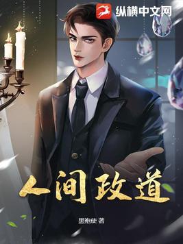 人间政道小说岑寨散人