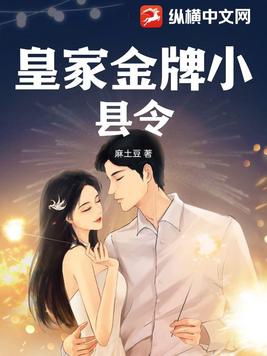 皇家金牌县令动画全集