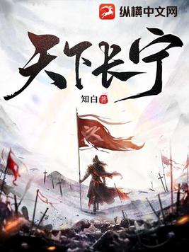 天下长宁40到100集大结局