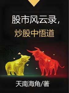 股市风云的电视剧