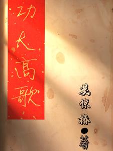 功夫牛